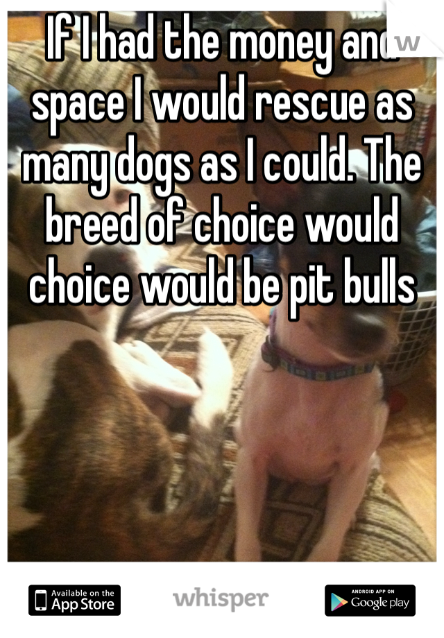 If I had the money and space I would rescue as many dogs as I could. The breed of choice would choice would be pit bulls 