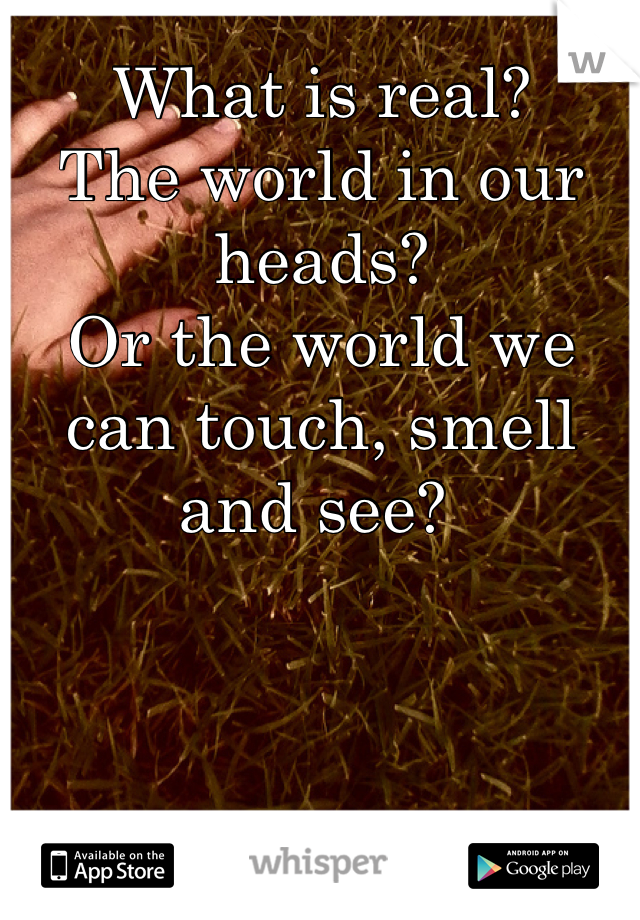 What is real?
The world in our heads?
Or the world we can touch, smell and see? 