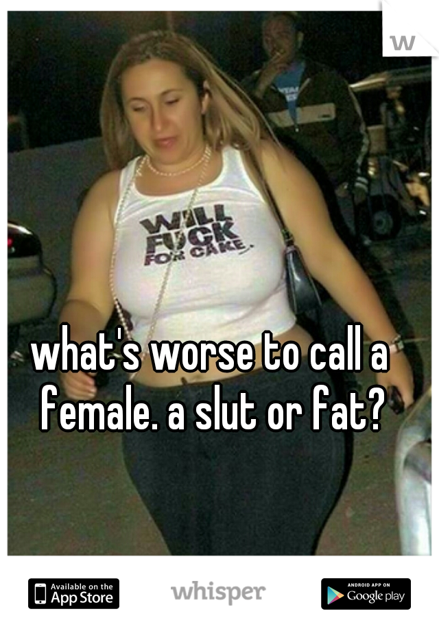 what's worse to call a female. a slut or fat?