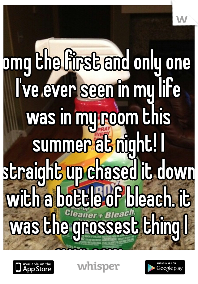 omg the first and only one I've ever seen in my life was in my room this summer at night! I straight up chased it down with a bottle of bleach. it was the grossest thing I ever saw     