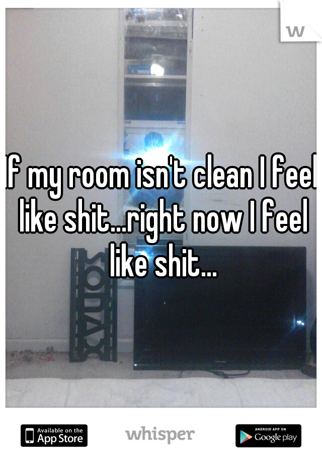 If my room isn't clean I feel like shit...right now I feel like shit...