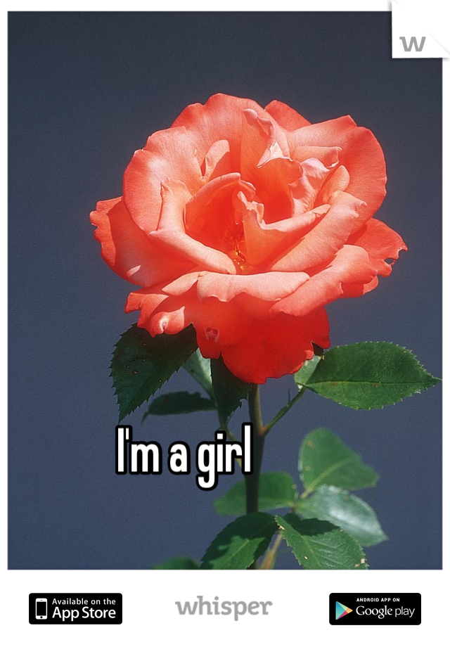 I'm a girl 