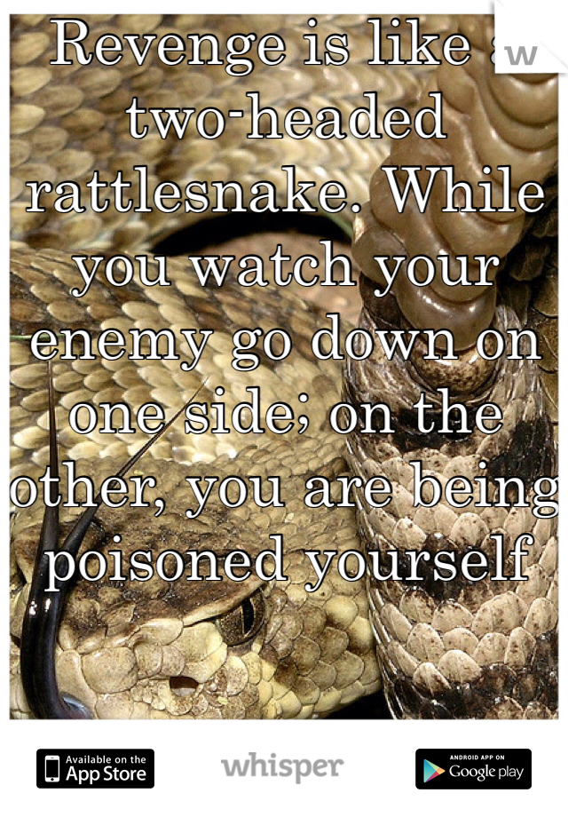 Revenge is like a two-headed rattlesnake. While you watch your enemy go down on one side; on the other, you are being poisoned yourself