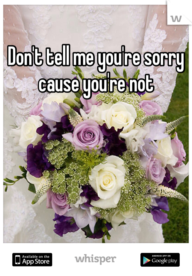 Don't tell me you're sorry cause you're not 