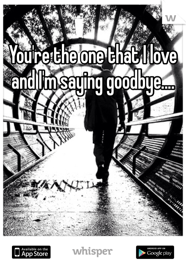 You're the one that I love and I'm saying goodbye....