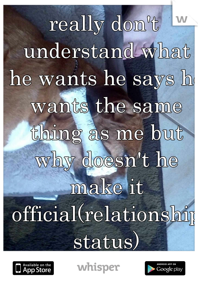 really don't understand what he wants he says he wants the same thing as me but why doesn't he make it official(relationship status)