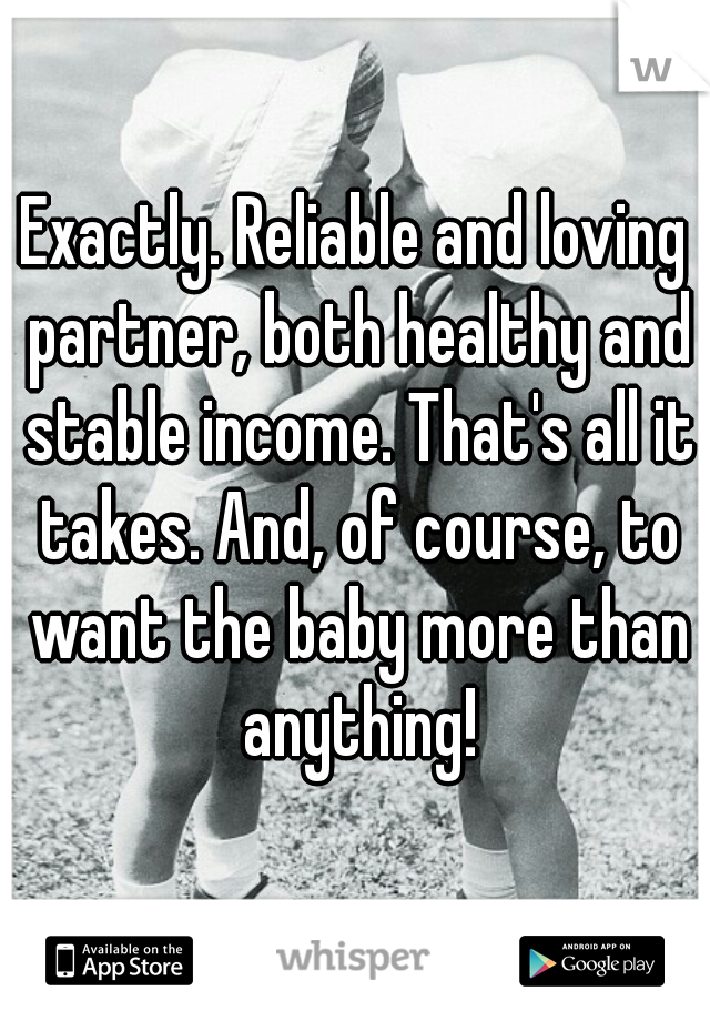 Exactly. Reliable and loving partner, both healthy and stable income. That's all it takes. And, of course, to want the baby more than anything!