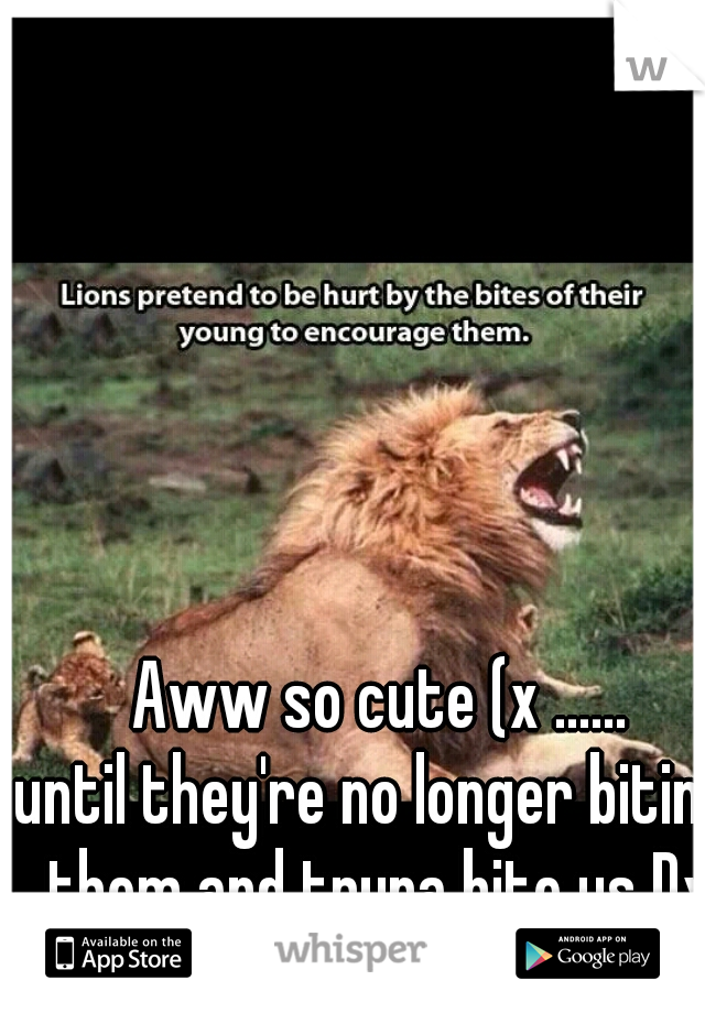  Aww so cute (x ......
until they're no longer biting them and tryna bite us Dx lol