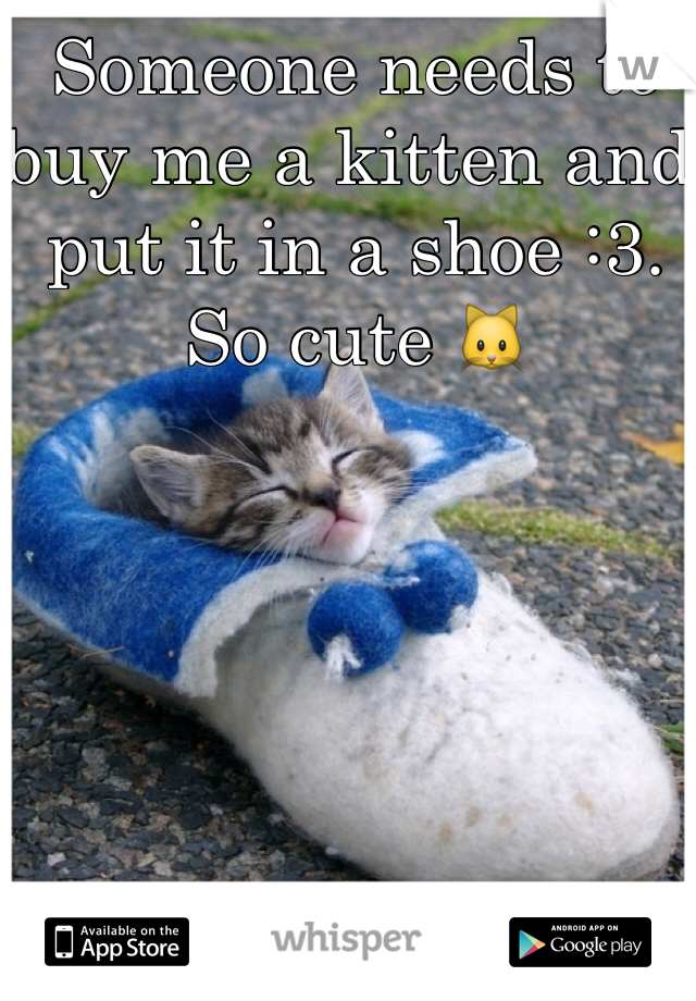 Someone needs to buy me a kitten and put it in a shoe :3. So cute 🐱