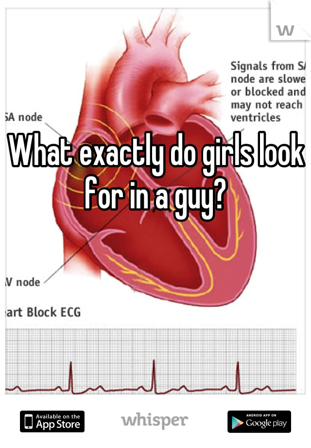 What exactly do girls look for in a guy?