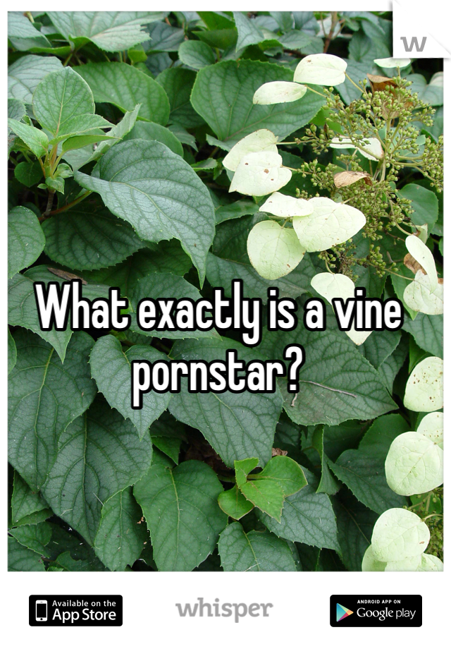 What exactly is a vine pornstar?
