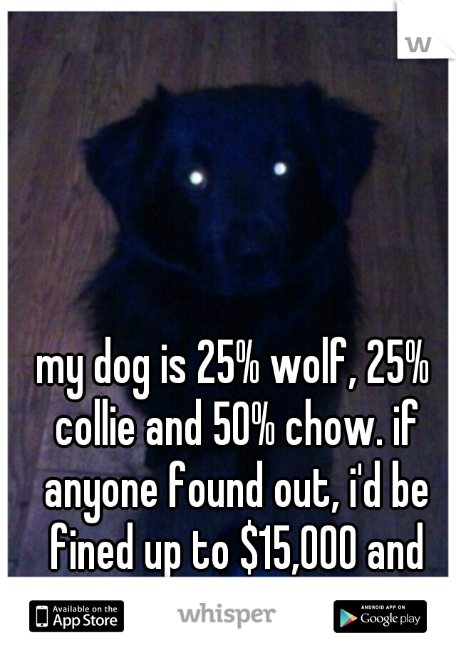 my dog is 25% wolf, 25% collie and 50% chow. if anyone found out, i'd be fined up to $15,000 and he'd be euthanized.
