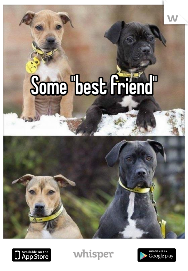 Some "best friend"