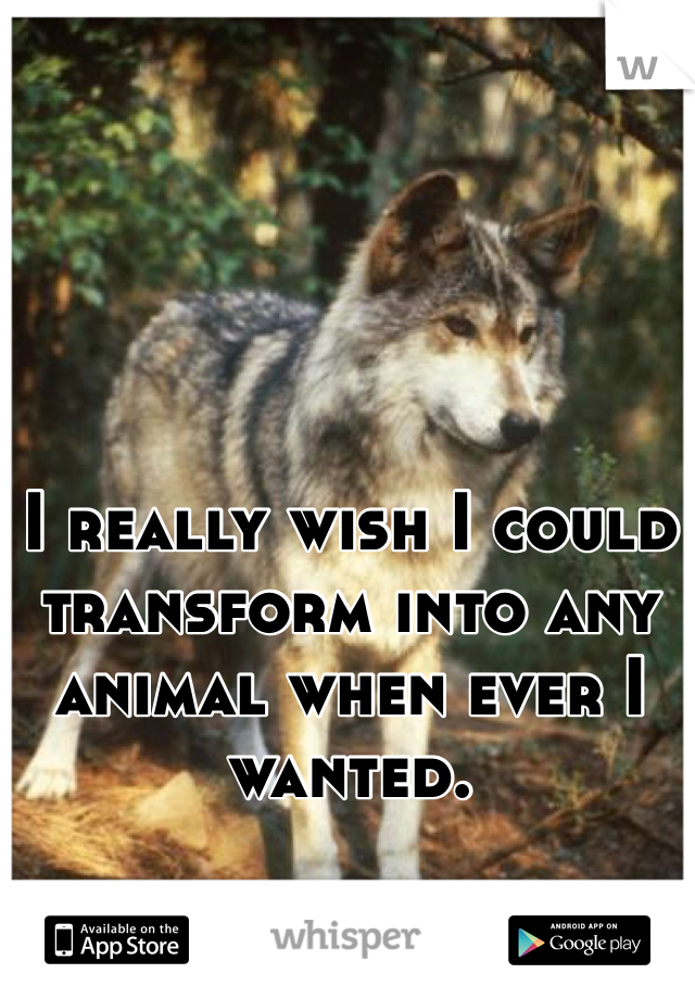 I really wish I could transform into any animal when ever I wanted.