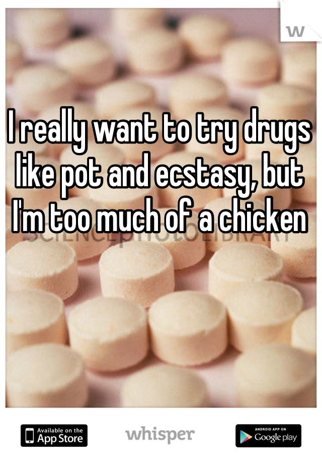 I really want to try drugs like pot and ecstasy, but I'm too much of a chicken