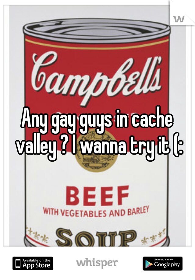 Any gay guys in cache valley ? I wanna try it (: