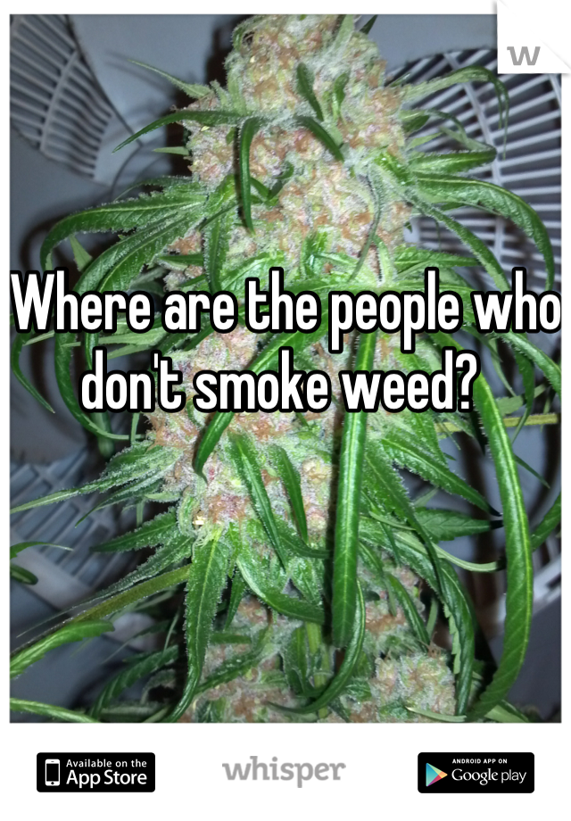 Where are the people who don't smoke weed? 