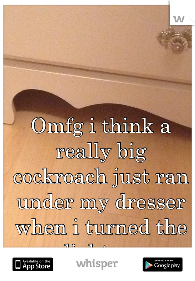 Omfg i think a really big cockroach just ran under my dresser when i turned the light on