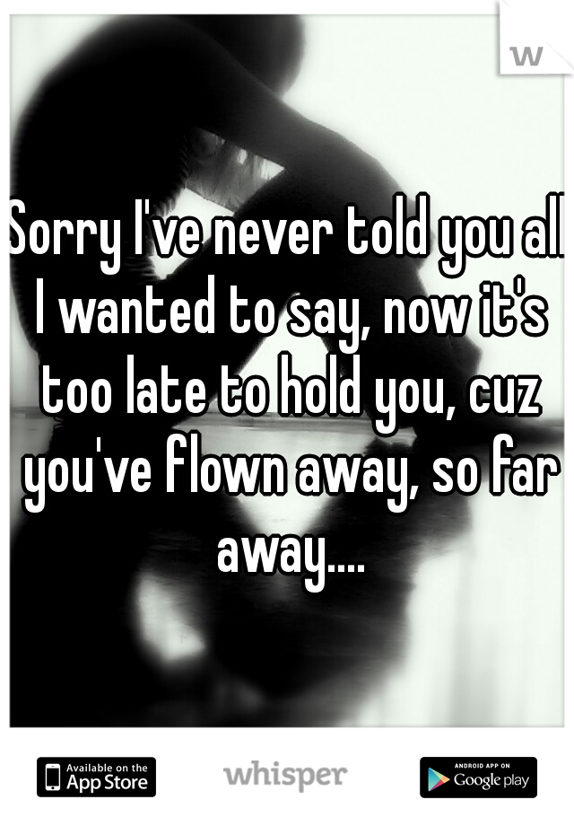 Sorry I've never told you all I wanted to say, now it's too late to hold you, cuz you've flown away, so far away....