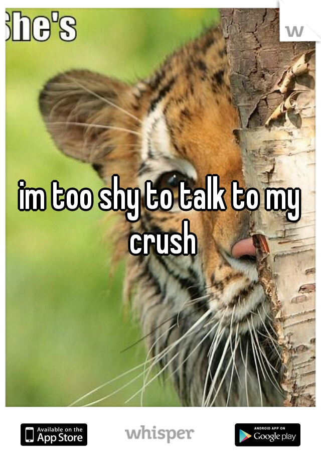 im too shy to talk to my crush