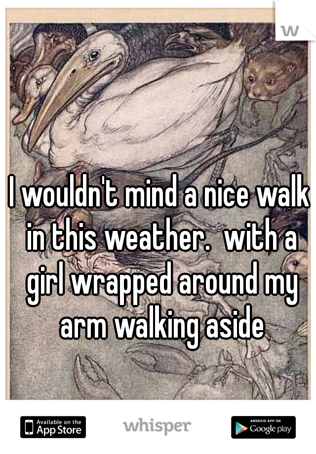 I wouldn't mind a nice walk in this weather.  with a girl wrapped around my arm walking aside
