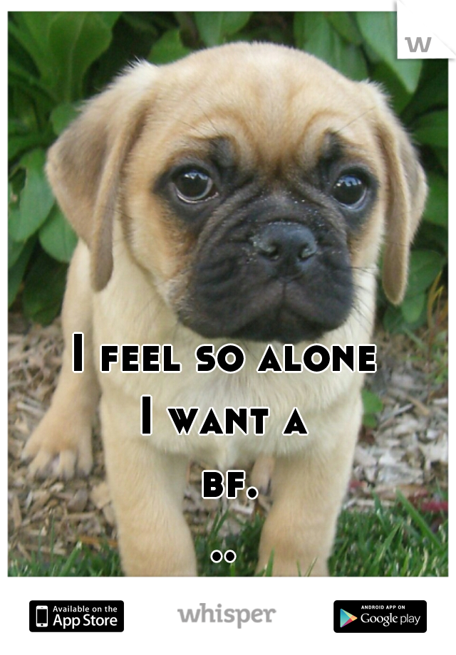 I feel so alone
I want a bf...
or a puppy