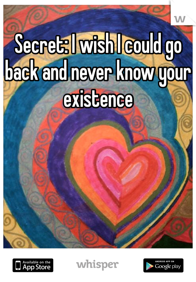 Secret: I wish I could go back and never know your existence 
