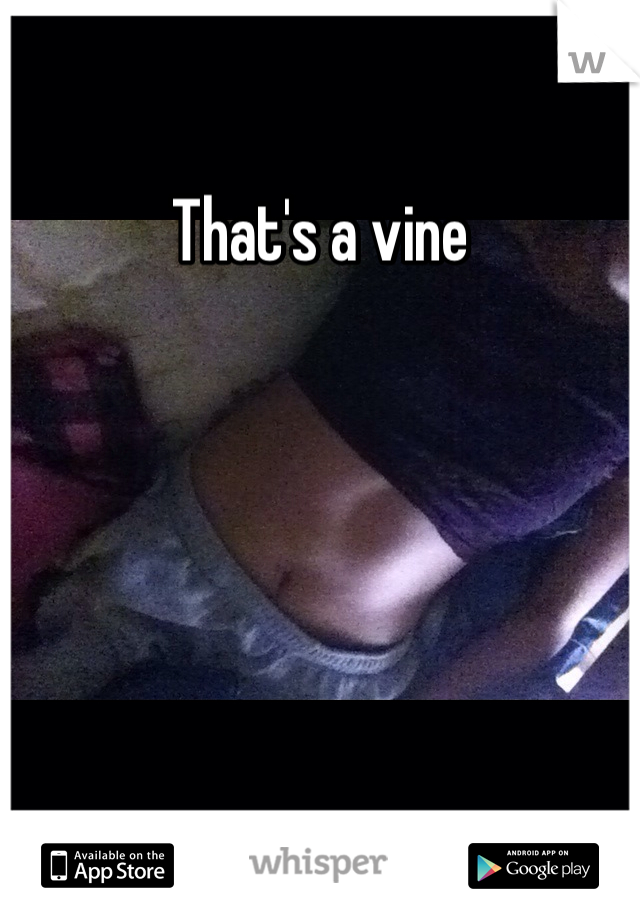 That's a vine