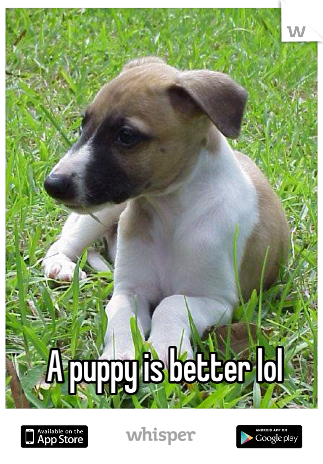 A puppy is better lol