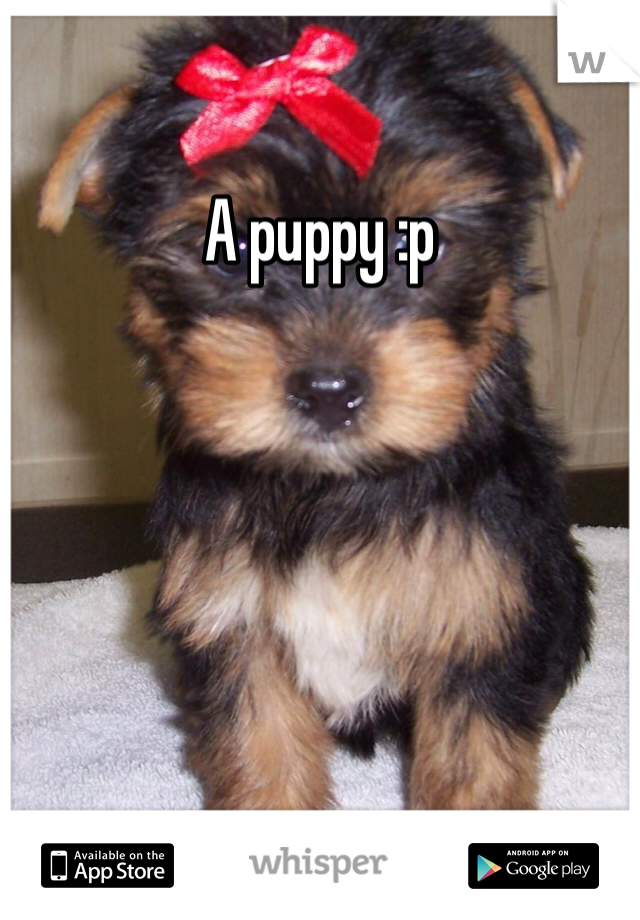A puppy :p