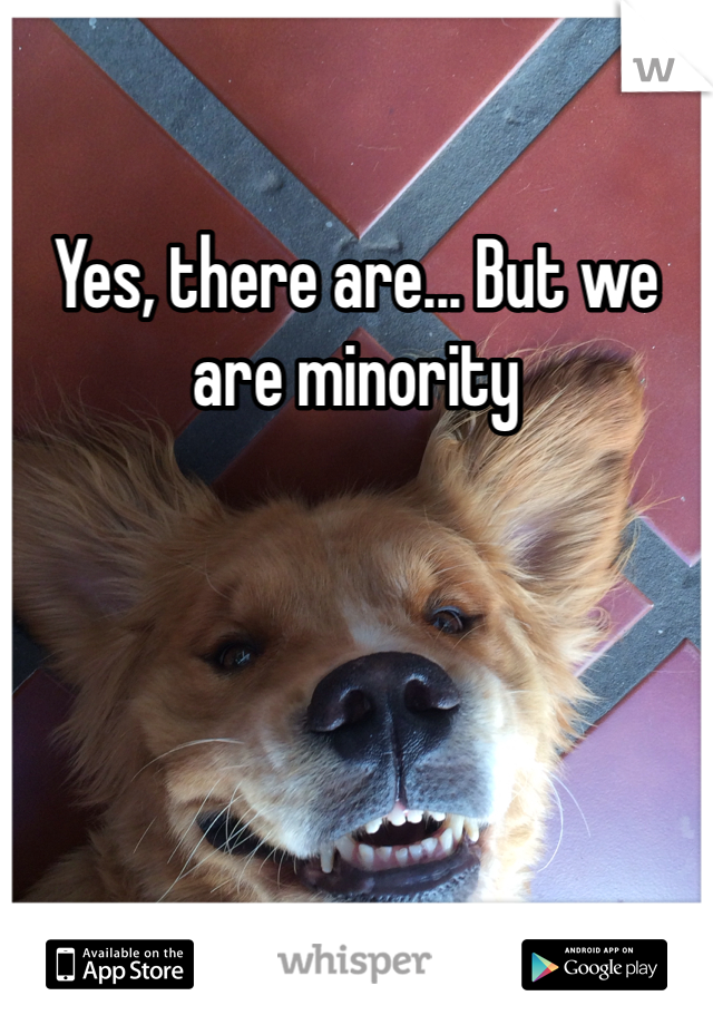 Yes, there are... But we are minority 