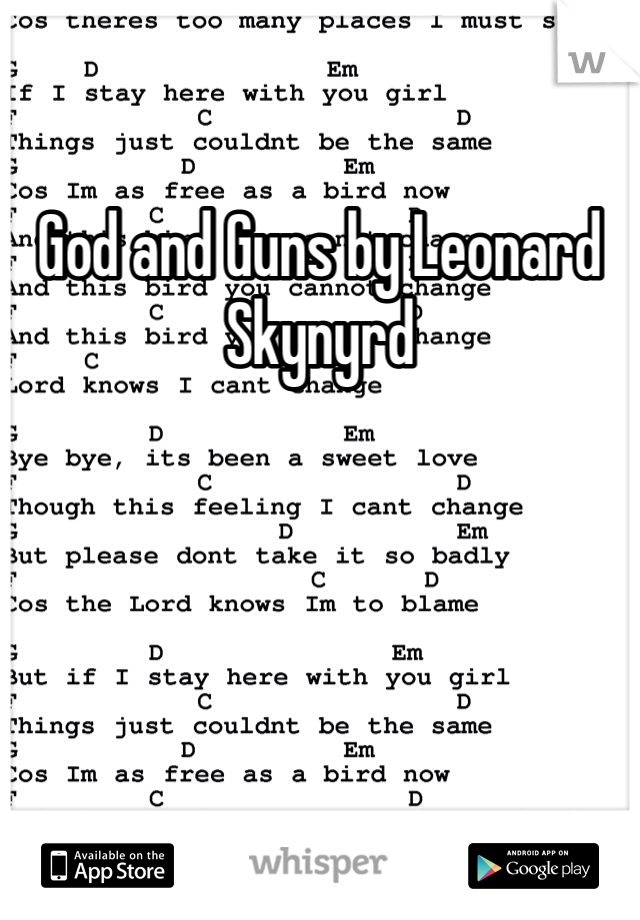 God and Guns by Leonard Skynyrd