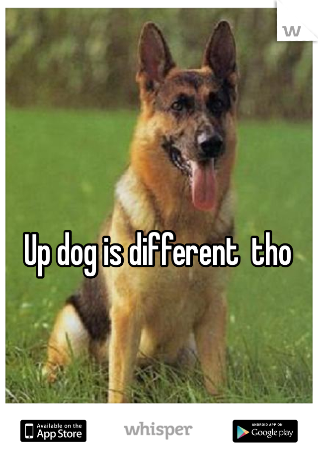Up dog is different  tho 