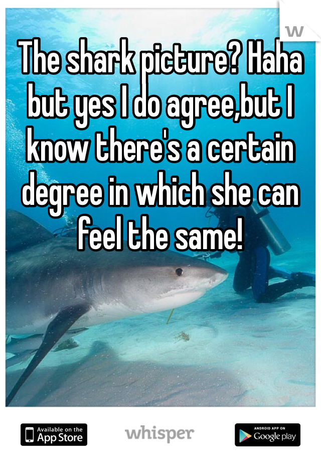 The shark picture? Haha but yes I do agree,but I know there's a certain degree in which she can feel the same!