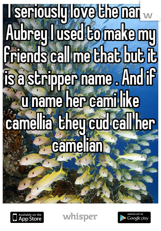 I seriously love the name Aubrey I used to make my friends call me that but it is a stripper name . And if u name her cami like camellia  they cud call her camelian  