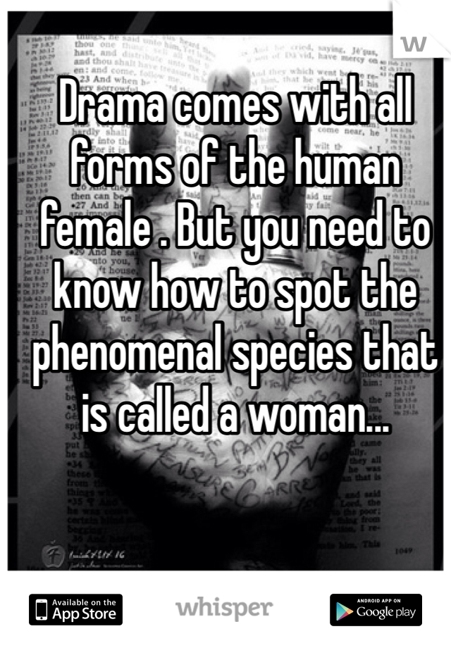 Drama comes with all forms of the human female . But you need to know how to spot the phenomenal species that is called a woman...