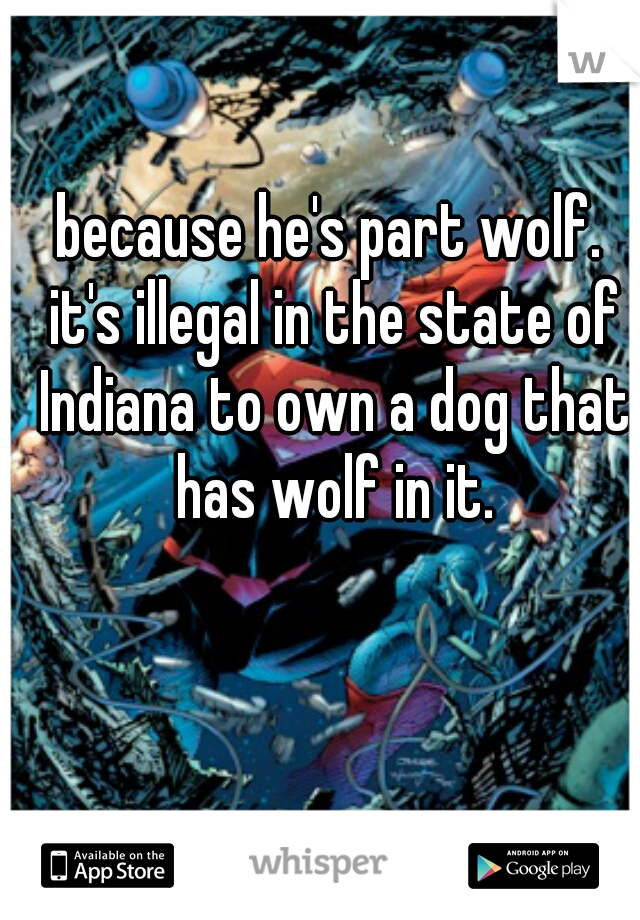 because he's part wolf. it's illegal in the state of Indiana to own a dog that has wolf in it.