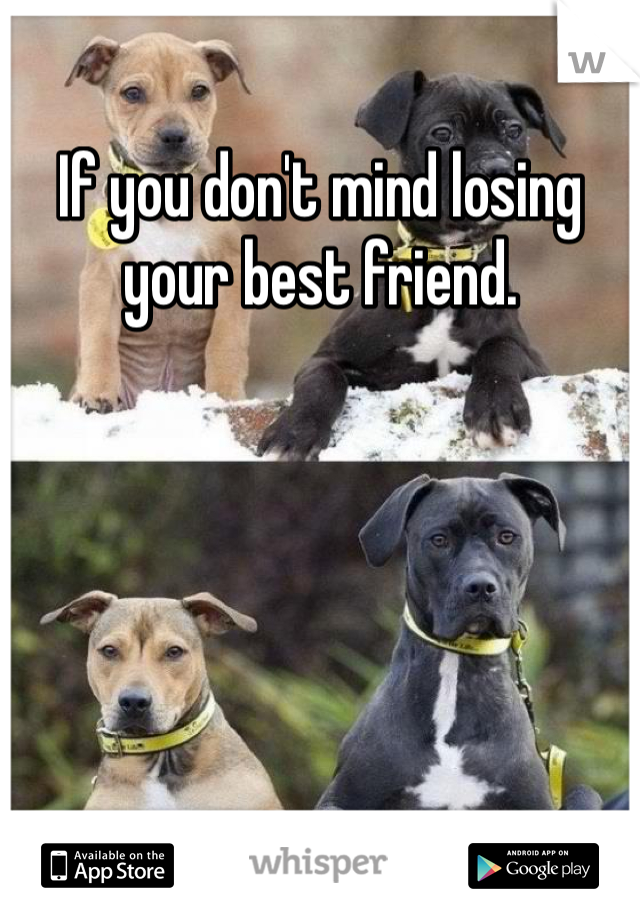 If you don't mind losing your best friend. 