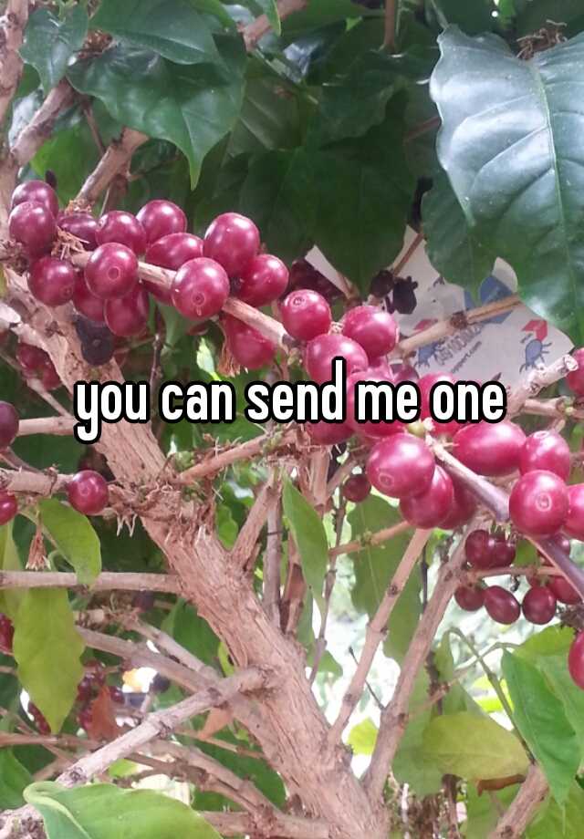 you-can-send-me-one