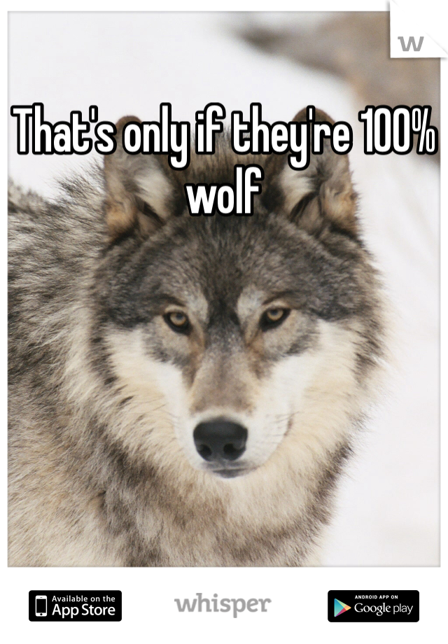 That's only if they're 100% wolf 