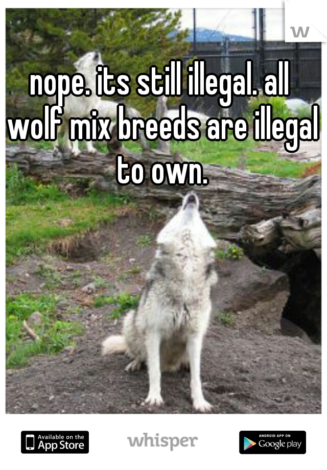 nope. its still illegal. all wolf mix breeds are illegal to own.