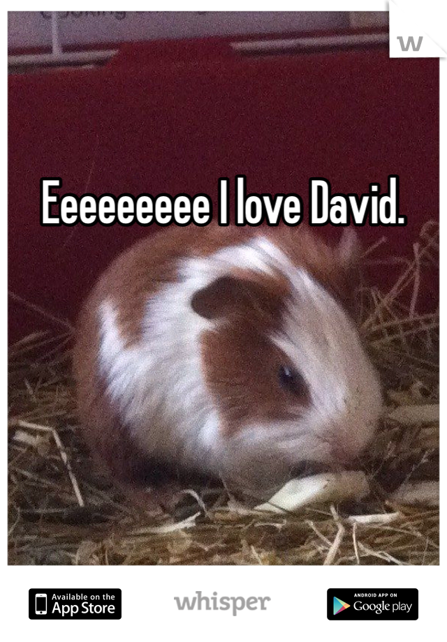 Eeeeeeeee I love David.