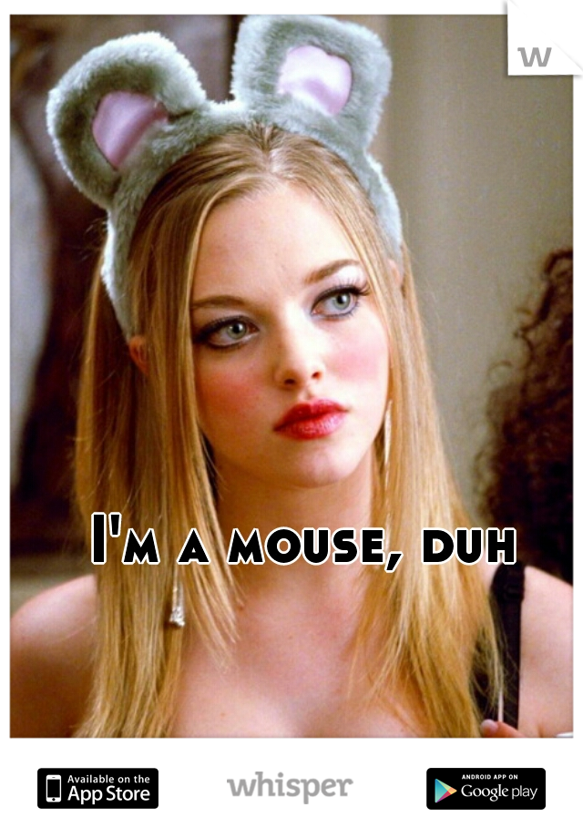 I'm a mouse, duh