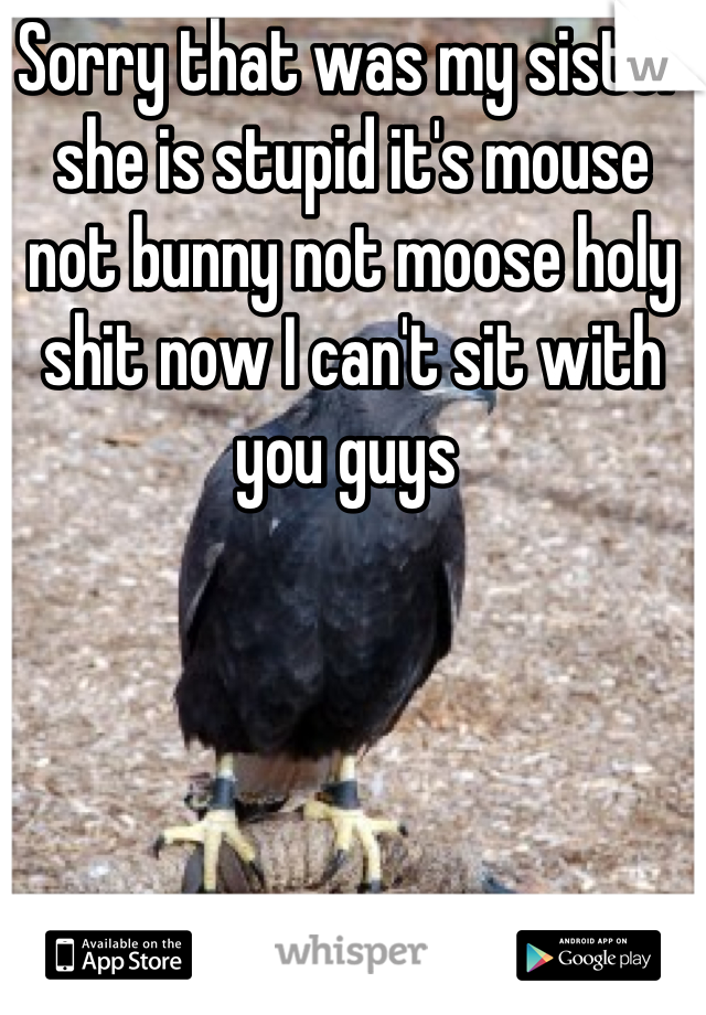 Sorry that was my sister she is stupid it's mouse not bunny not moose holy shit now I can't sit with you guys 