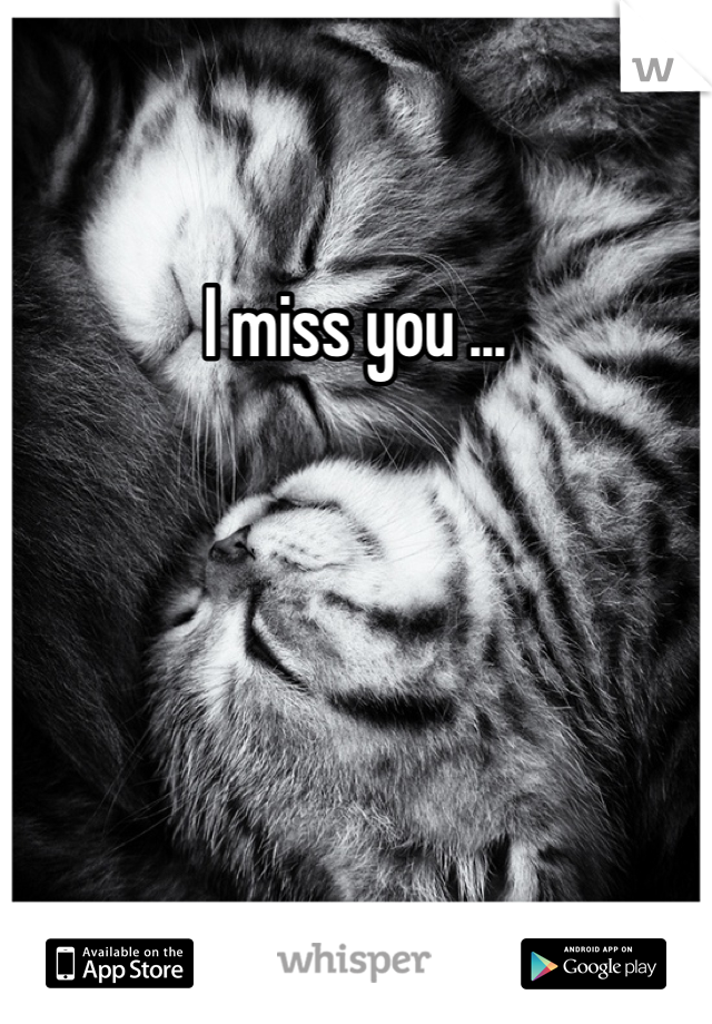 I miss you ... 