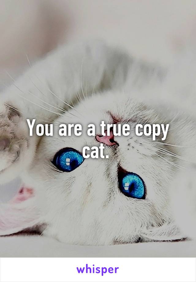 You are a true copy cat. 