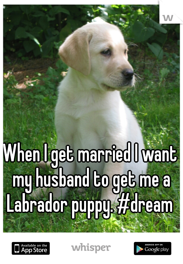 When I get married I want my husband to get me a Labrador puppy. #dream 