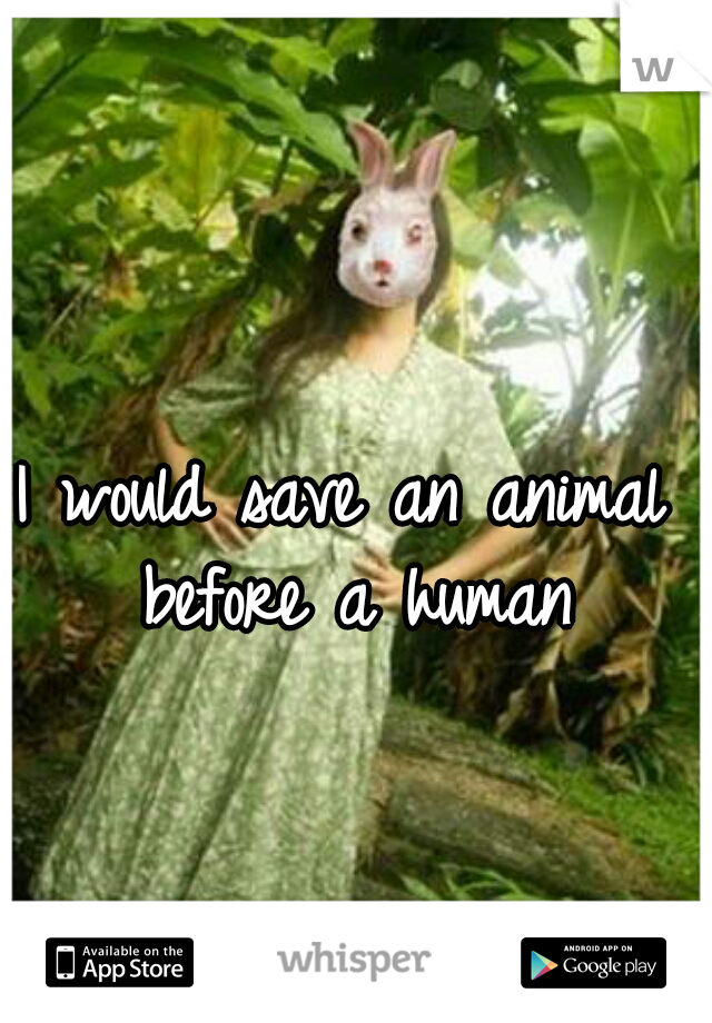 I would save an animal before a human