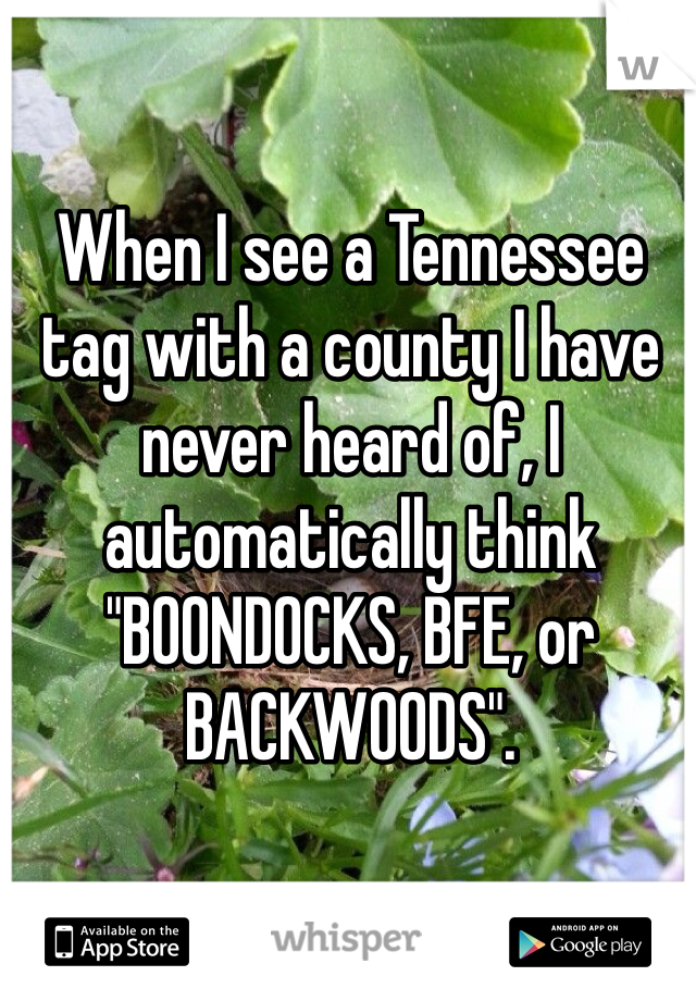 When I see a Tennessee tag with a county I have never heard of, I automatically think "BOONDOCKS, BFE, or BACKWOODS". 