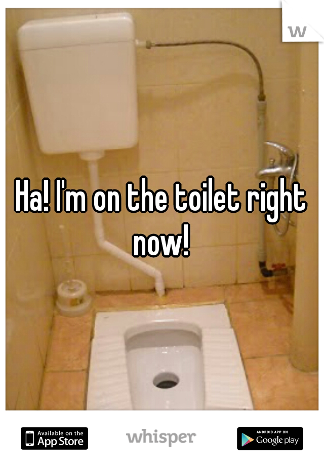 Ha! I'm on the toilet right now! 